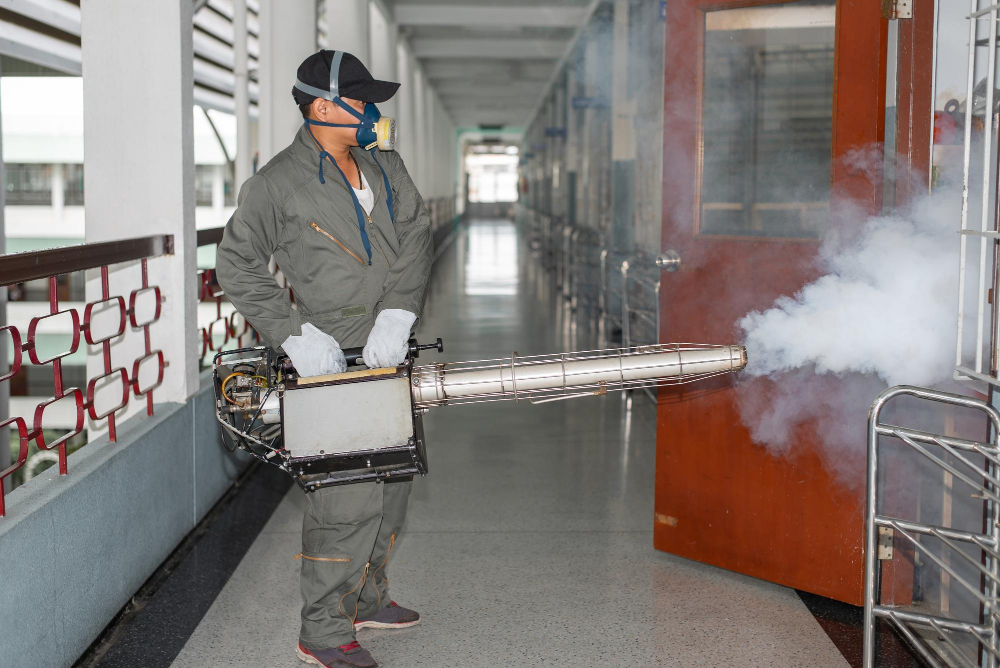 fogging eliminate mosquito room preventing spread dengue fever