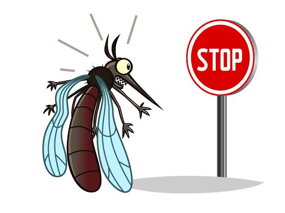 komarci stop