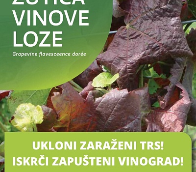 IMG 20261002 WA0001